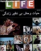 مستند حیات وحش بی نظیر زندگی قسمت 2 LIFE Part2