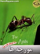 مستند مورچه ها The Ants