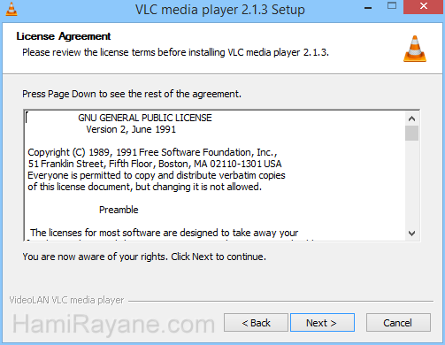 VLC Media Player 3.0.6 (64-bit) 絵 3