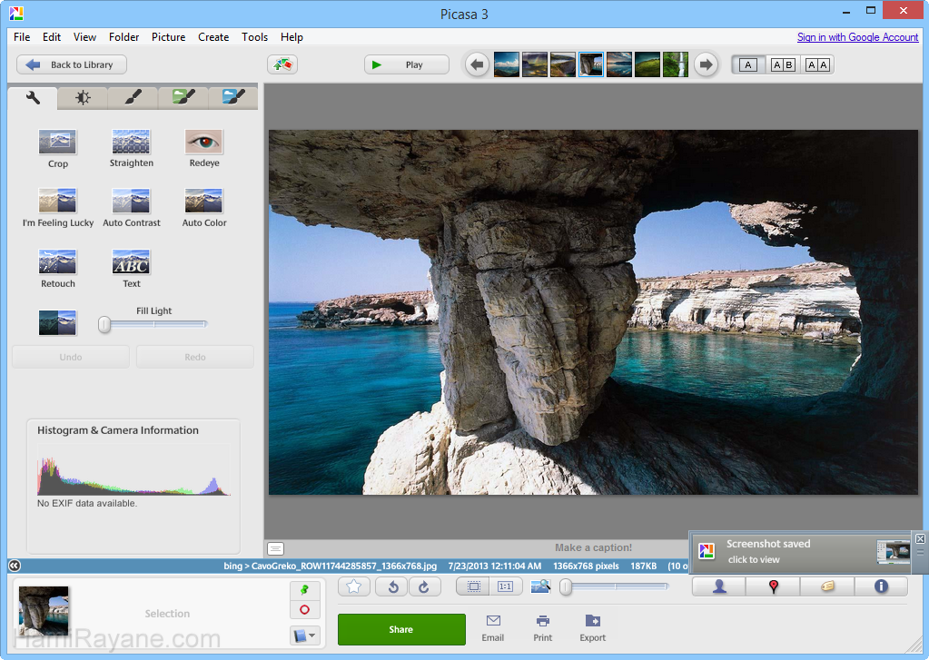 Picasa 3.9 Build 140.248 Obraz 8