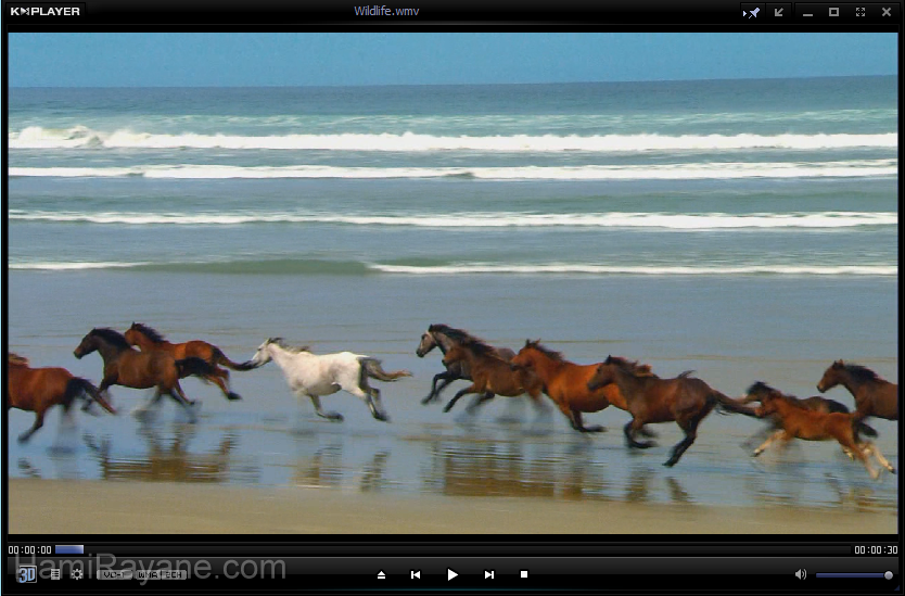 KMPlayer 4.2.2.26 그림 8