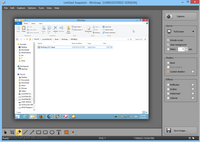 Descargar WinSnap 