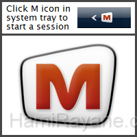 Mikogo v3.0 Picture 1
