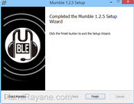 Download Mumble 