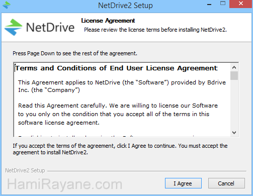 NetDrive 3.7.687 Picture 1