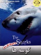 مستند کوسه ها The Sharks