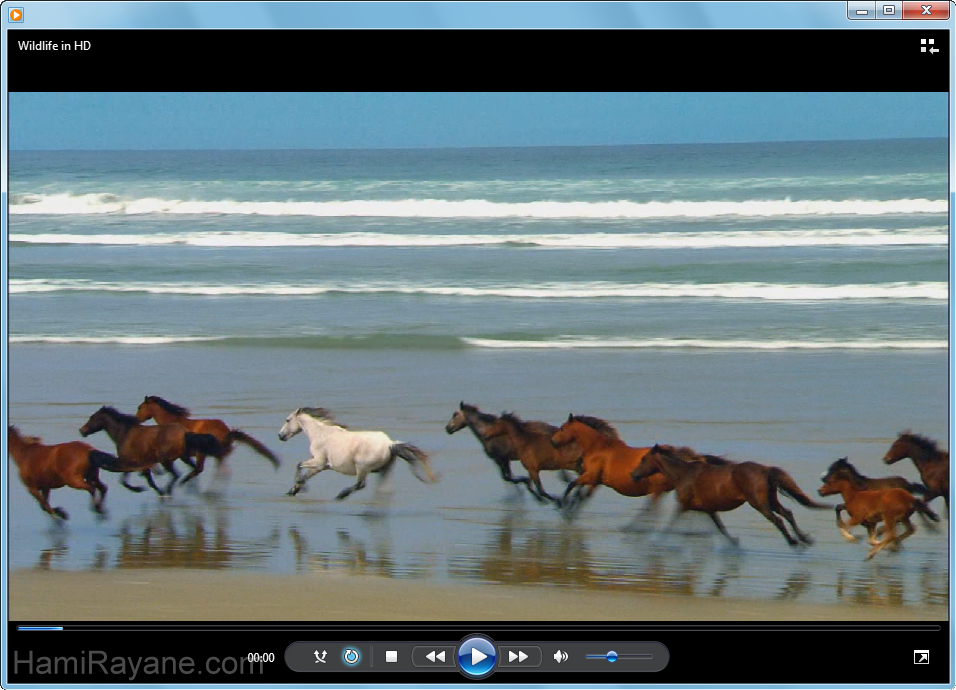 Windows Media Player 11 Picture 2